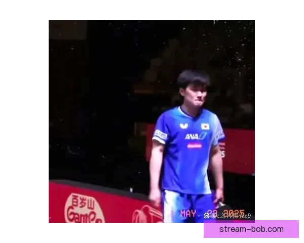 张本智和惨败表情崩溃引热议日本球迷质疑抗压能力新王牌或转向松岛辉空为核心