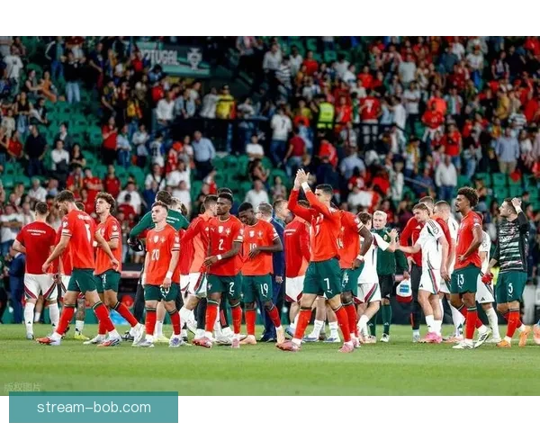 2026世界杯全新48强阵容盘点及精彩看点解析